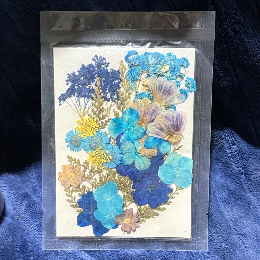 Pressed Blue Floral Art Card - Assorted Dried Flowers